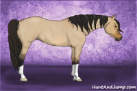 Horse Color:Gray Buckskin Roan Dun 