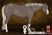 Horse Color:Silver Black Splash 