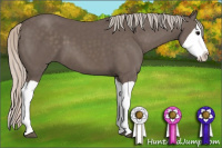 Horse Color:Silver Black Splash