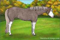 Horse Color:Silver Blue Roan Splash
