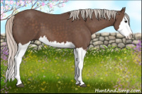 Horse Color:Silver Black Splash
