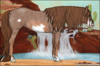 Horse Color:Liver Red Roan Frame 