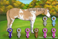Horse Color:Chestnut Sabino Splash