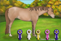 Horse Color:Black Pearl