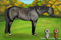 Horse Color:Black Sabino