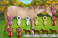 Horse Color:Chestnut Pearl