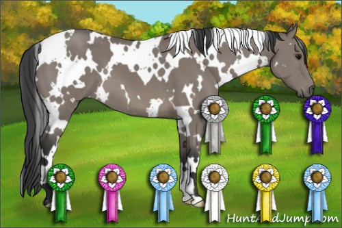 Horse Color: White Spotted Grullo 