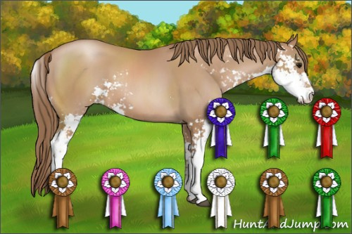 Horse Color: Black Pearl Sabino 