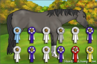 Horse Color:Grullo 