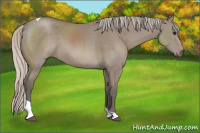 Horse Color:Silver Grullo Sabino Tobiano
