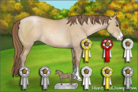 Horse Color:Grullo Pearl Sabino