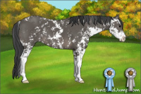 Horse Color:Black Sabino