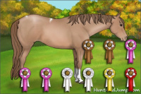 Horse Color:Black Pearl Tobiano 