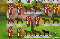 Horse Color:Silver Black Sabino 