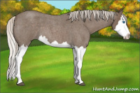 Horse Color:Silver Blue Roan Splash 