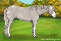 Horse Color:Silver Blue Ice Roan Splash 