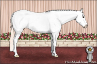 Horse Color:Palomino Sabino Snowcap 