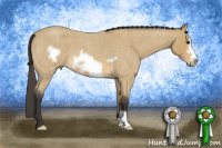 Horse Color:Buckskin Roan Frame 