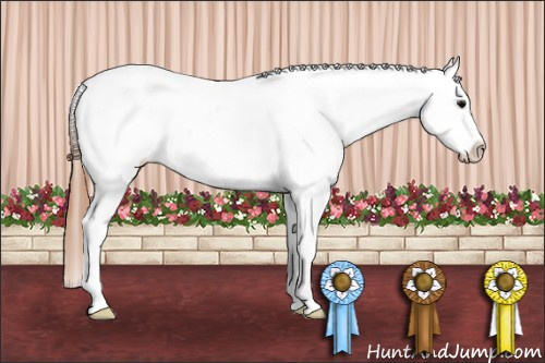Horse Color: White Spotted Grullo Frame Near Leopard 