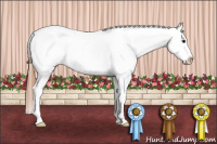 Horse Color:White Spotted Grullo Frame Appaloosa 