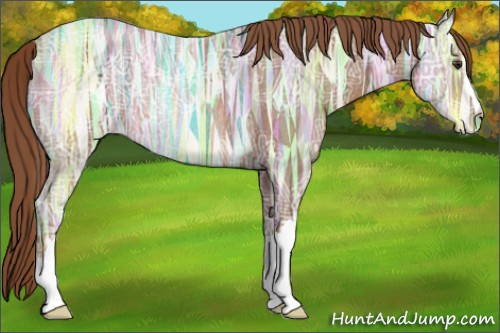 Horse Color: Chestnut Ice Rabicano 