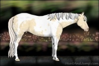 Horse Color:Silver Classic Cream Champagne Ice Dun Tobiano