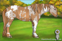 Horse Color:Silver Grullo Ice Roan Tobiano Rabicano  Brindle