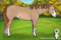 Horse Color:Red Dun Sabino Splash 
