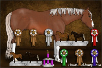 Horse Color:Silver Bay 