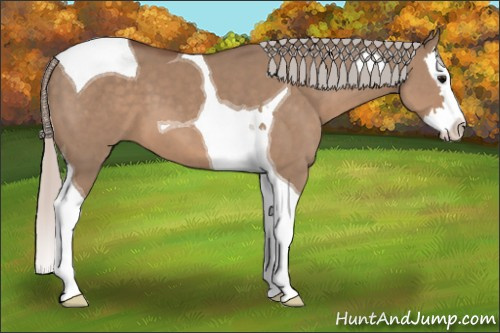 Horse Color: Silver Grullo Splash Tobiano 