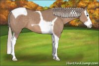 Horse Color:Silver Grullo Splash Tobiano 