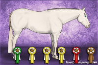 Horse Color:Perlino Dun