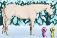 Horse Color:Perlino 