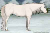 Horse Color:Perlino Dun 