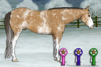 Horse Color:White Spotted Buckskin 