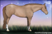 Horse Color:Black Pearl