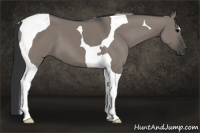 Horse Color:Grullo Tobiano