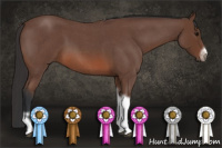 Horse Color:Bay Roan Tobiano Frame Rabicano