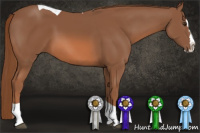 Horse Color:Chestnut Splash Tobiano 