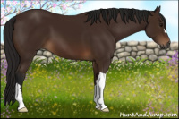 Horse Color:Gray Bay 