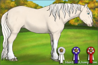 Horse Color:Cremello 