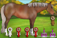 Horse Color:Silver Bay 