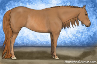 Horse Color:Chestnut Rabicano 