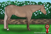 Horse Color:Silver Grullo 