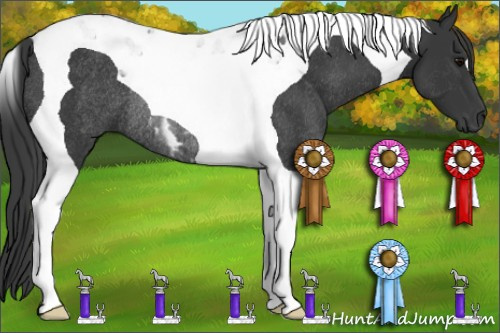 Horse Color: Brown Tobiano Rabicano 