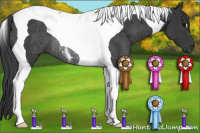 Horse Color:Brown Tobiano Rabicano 