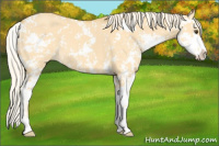 Horse Color:Palomino Dun Sabino