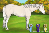 Horse Color:Cremello Sabino
