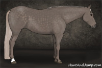 Horse Color:Silver Black 