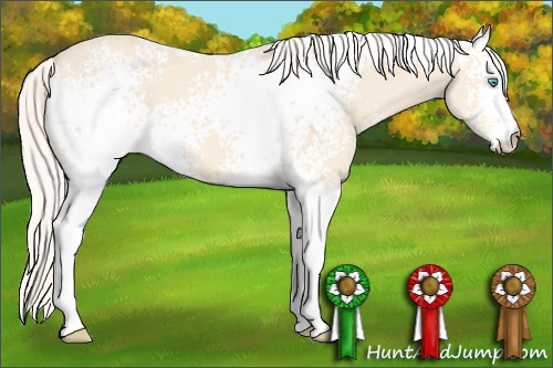 Horse Color: White Spotted Cremello 